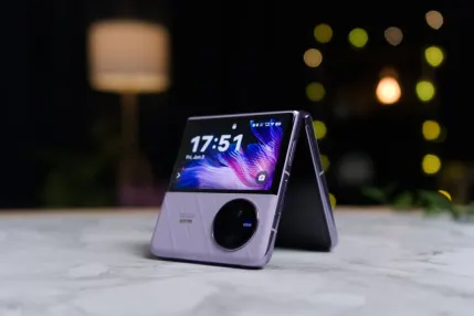 카지노 정글 라자 모바일 앱